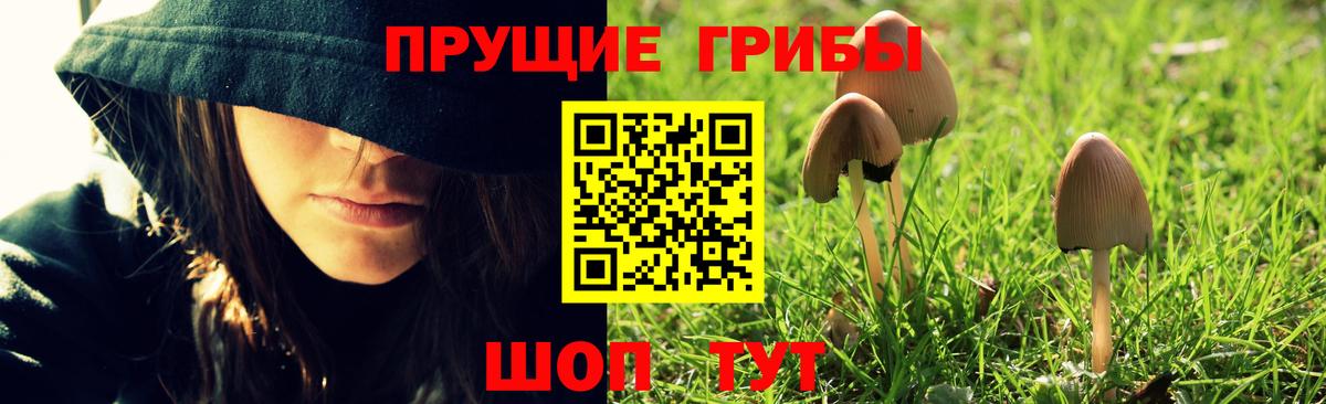 Лосино-Петровский  Псилоцибиновые грибы Cubensis  Вход с VPN 